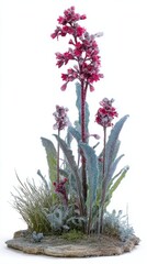 Pink flowering plant with green foliage and lush background display
