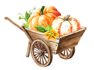 Wooden garden wheelbarrow with rustic Fresh ripe yellow pumpkins or squash. Hand drawn watercolor illustration isolated on white background