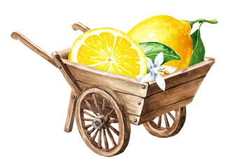 Wooden garden wheelbarrow cart withfresh lemons. Hand drawn watercolor illustration, isolated on white background