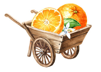 Wooden garden wheelbarrow cart with fresh orange fruits. Hand drawn watercolor illustration, isolated on white background