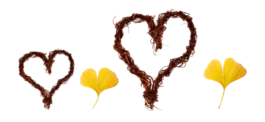 Set of wood branches and leaf hearts, natural rustic love ornaments, ecological Valentine's day isolated on white or transparent background, png cut out