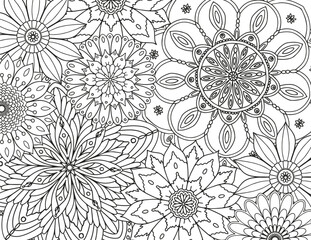 Abstract floral background. Coloring page for adults and children.