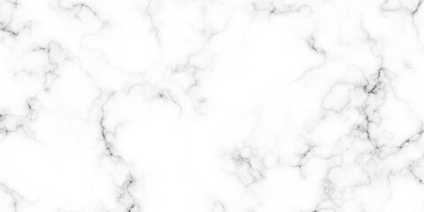 High-Resolution White Marble Texture with Soft Veining