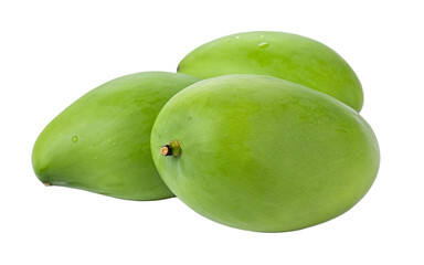 Obraz premium Fresh green mangoes isolated on black background ripe tropical fruit closeup healthy eating produce