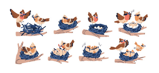 Bird family in nest, set. Songbirds on tree branch, building stick house, hatching eggs, couple with chicks, feeding with worm, caring, singing. Flat vector illustrations isolated on white background