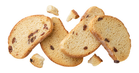 Dried bread with crumbs flies on a white background. Isolated