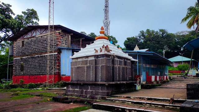monkeys on a small temple at kankeshwar in alibaug in maharashtra in india.