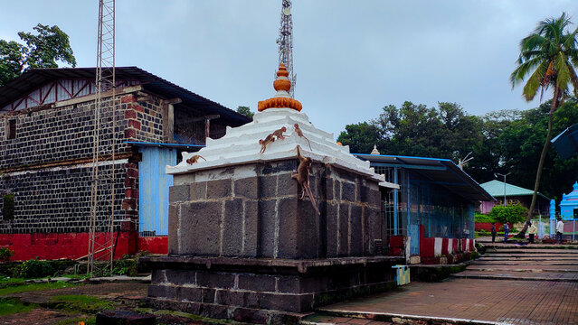 monkeys on a small temple at kankeshwar in alibaug in maharashtra in india.