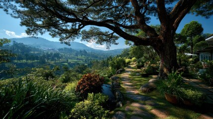 Fototapeta premium A serene landscape with a majestic tree overlooking the distant mountains