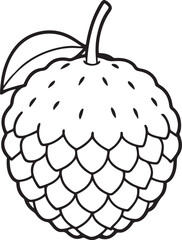 lychee fruit line art, black outline, vector and illustration, coloring book page line art drawing