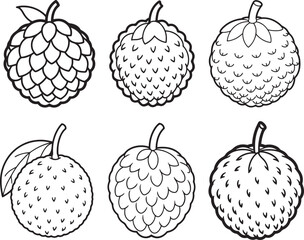set of lychee fruit line art, black outline, vector and illustration, coloring book page line art drawing