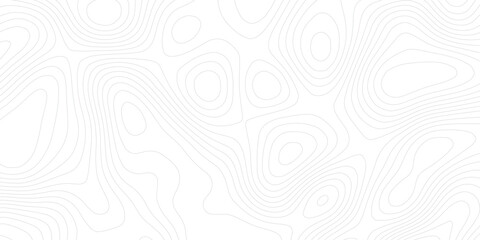 Abstract white topography vector background Topographic map. Geographic mountain relief. Abstract lines background