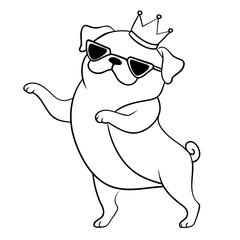 pug dog with glasses