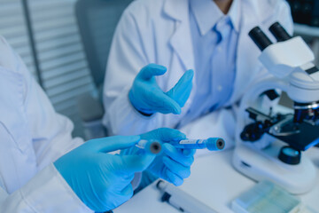 two scientists consult each other while conducting an experiment on a liquid substance in a...