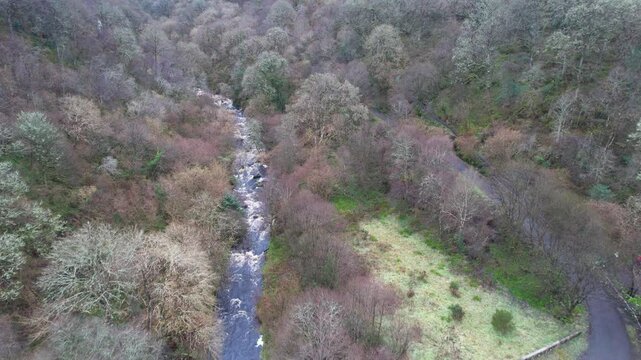 narrow river winding through a dense, leafless forest in early spring, bordered by grass and a trail