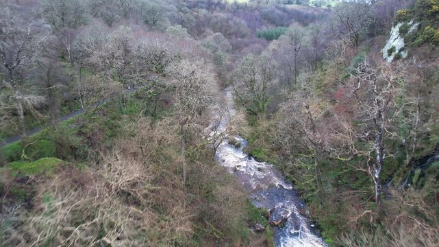 narrow river winding through a dense, leafless forest in early spring, bordered by grass and a trail