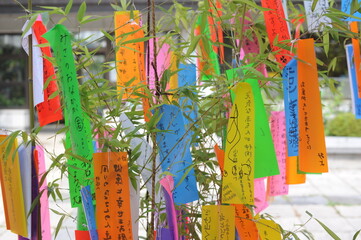 Tanabata festival (Star Festival) in Japan. Colorful paper tags called tanzaku with written wishes...