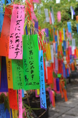 Tanabata festival (Star Festival) in Japan. Colorful paper tags called tanzaku with written wishes...