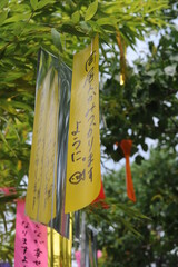 Tanabata festival (Star Festival) in Japan. Colorful paper tags called tanzaku with written wishes...