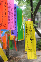 Tanabata festival (Star Festival) in Japan. Colorful paper tags called tanzaku with written wishes...