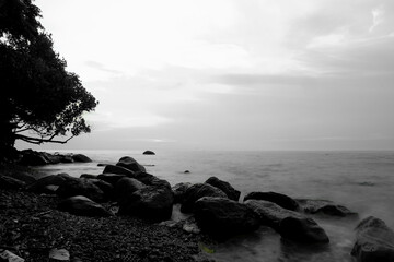 Serene Monochrome Seascape Rocks, Shore, and Tranquil Waters