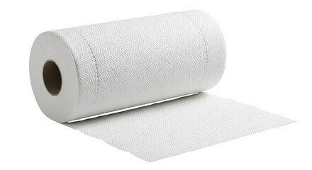 Isolated Roll of Paper Towels