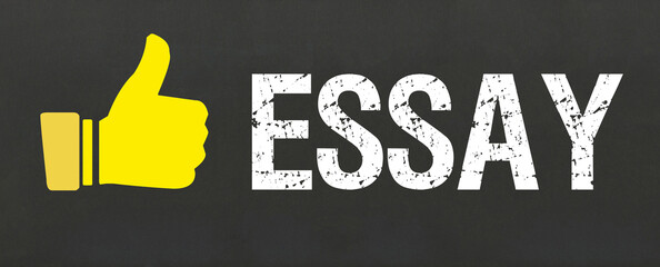 Essay	
