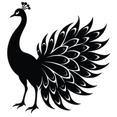 Fototapeta premium Elegant Peacock Silhouette with Open Feathers Vector Illustration for Creative Designs
