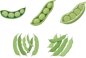 Fototapeta premium 枝豆 野菜 イラスト ベジタブル 素材