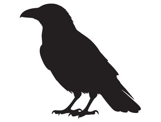 CROW SILHOUETTE