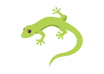 Lizard Vector, Lizard Icon Illustration