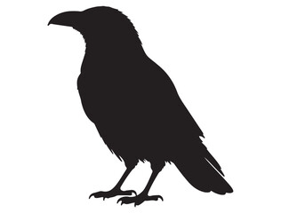 CROW SILHOUETTE