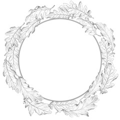 Oak leaves in a round frame on a white background. Artistic design, monochrome botanical illustration, hand-drawn pencil drawing. Oak, oak leaves, oak bark. Template for packaging design, wallpaper