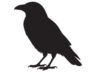 CROW SILHOUETTE