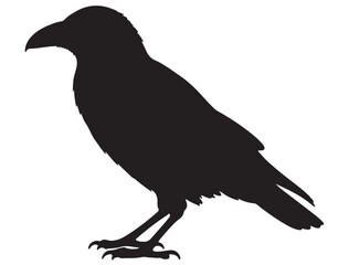 CROW SILHOUETTE