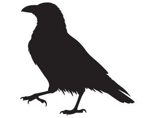 Obraz premium CROW SILHOUETTE