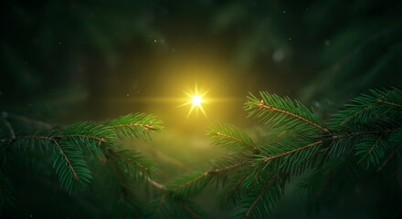 A decorated Christmas tree with lush pine needles topped with a shining star