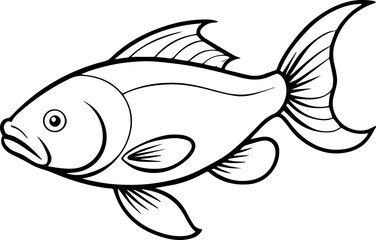 carp fish outline vector illustration line art