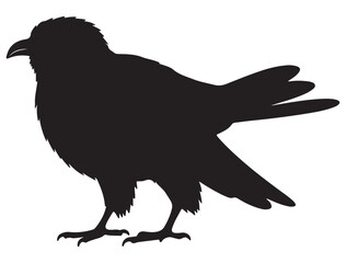 CUCKOO BIRD SILHOUETTE