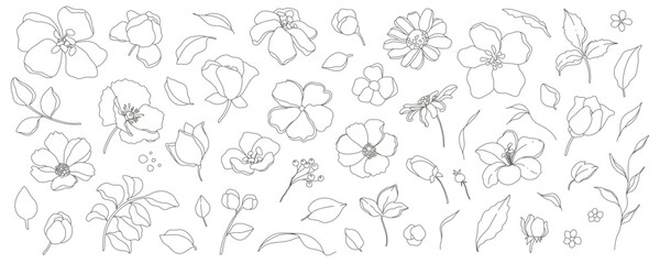 Collection of simple minimal delicate hand drawn flowers, leaves and branches in line art style. Trendy vector botanical sketch illustration on white background