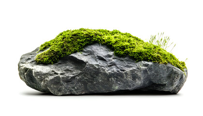 Moss-covered rock isolated on bright white background showcasing natural beauty