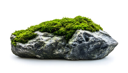 Moss-covered rock isolated on bright white background showcasing natural beauty