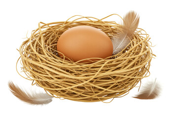 Isolated Natural Brown Chicken Egg Nest with Soft Feathers
