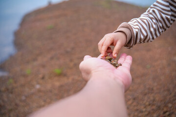 planting a plant