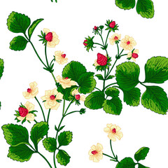 Pattern vector Strawberry berries color line. Summer flowers and berries. Harvest, farm products.