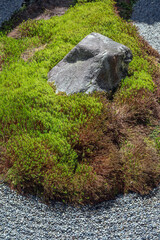 苔むす坪庭の庭石
