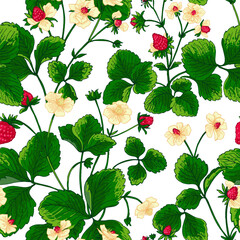 Pattern vector Strawberry berries color line. Summer flowers and berries. Harvest, farm products.