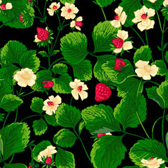Pattern vector Strawberry berries color line. Summer flowers and berries. Harvest, farm products.