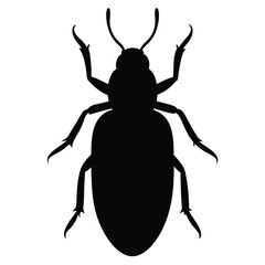 Beetle Silhouette Vector Illustration from Top View for Graphic Design Projects