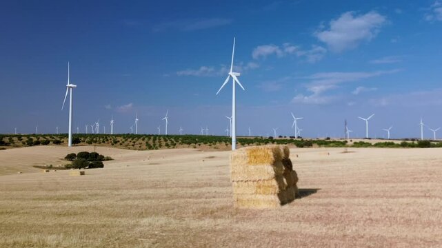 CAMPO CON MOLINOS EOLICOS